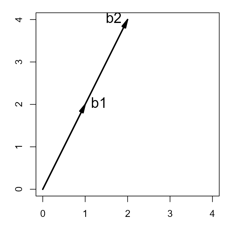 A diagram showing two collinear (proportional) vectors, b1 and b2. The determinant of the matrix containing them is zero.