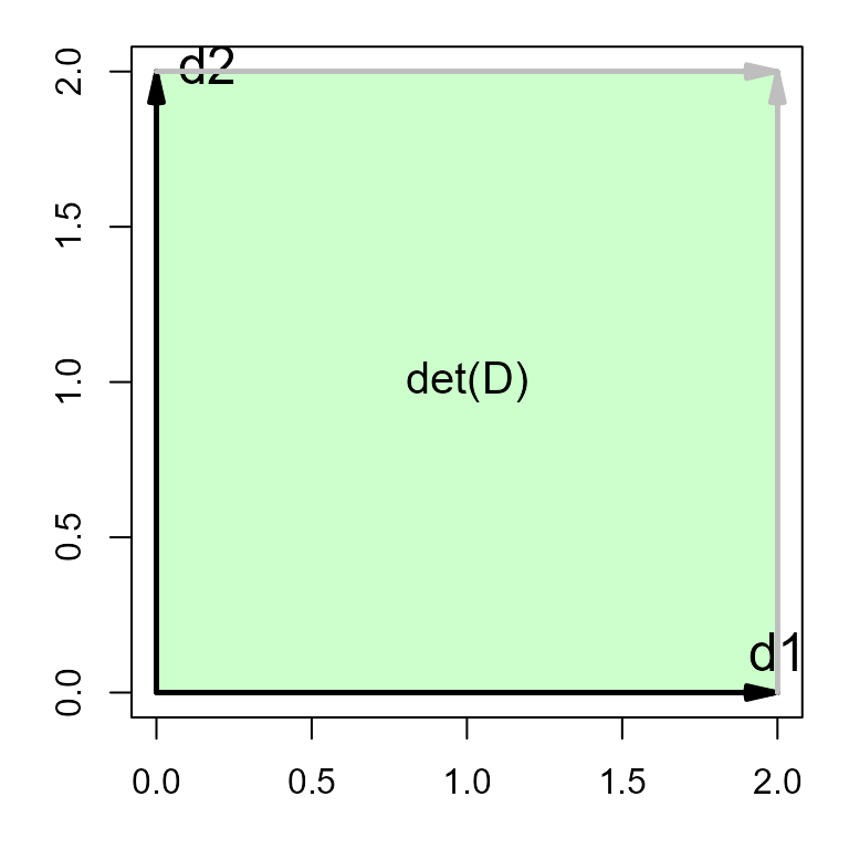 A diagram showing two orthogonal vectors, d1 and d2 (at right angles). The determinant of the matrix containing them is the area of the square they form.