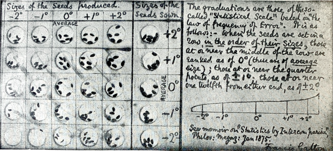 Sweet pea diagram: Galton’s semigraphic table of the sweet pea data, represented in classed intervals around the averages for parent and child seeds.