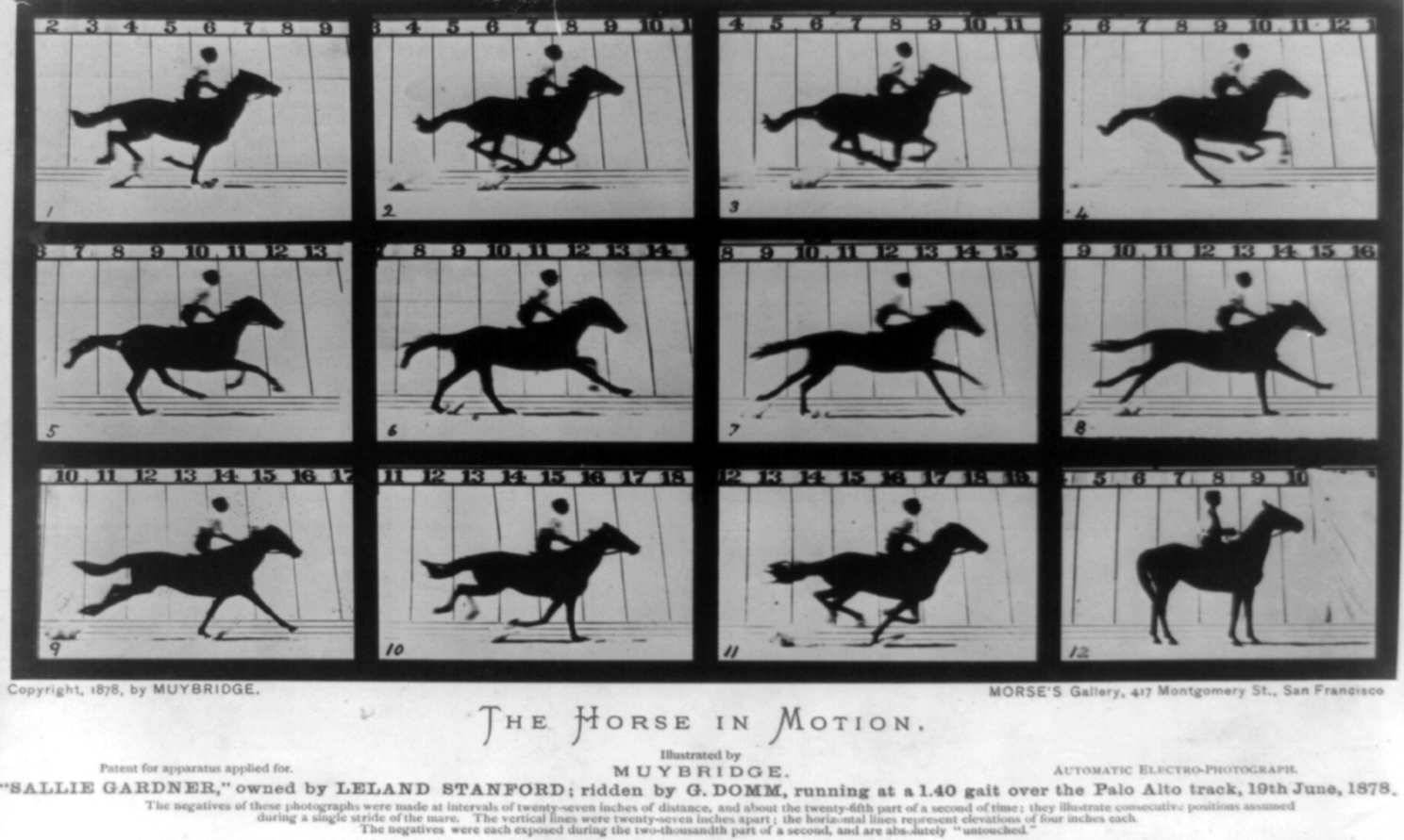 The Horse in Motion: Photographs of the horse “Sally Gardner”running at a gallop, June 19, 1878.