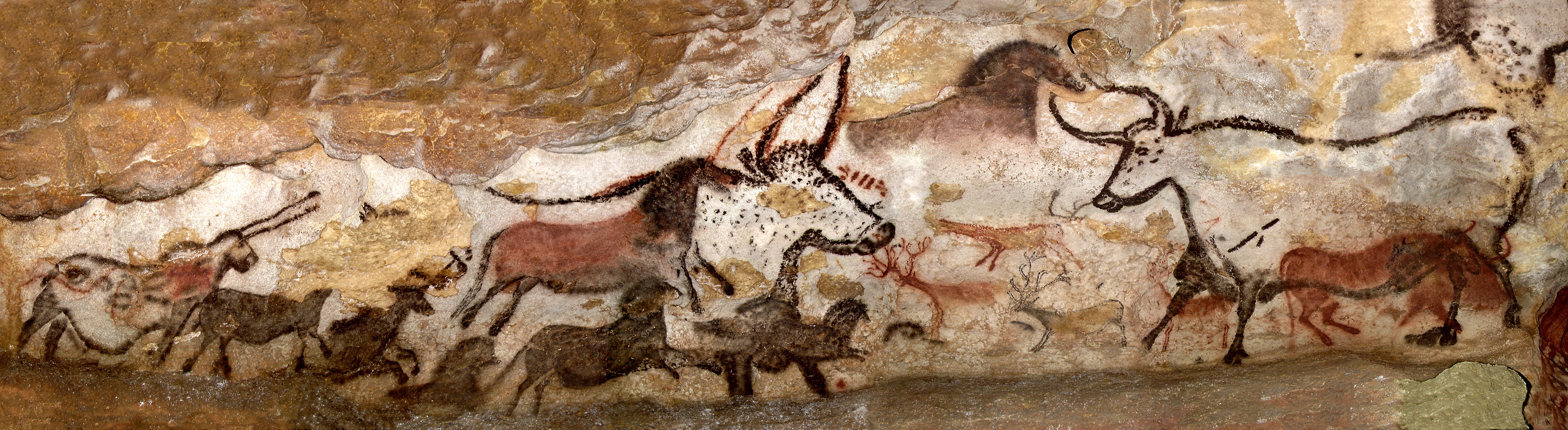 Lascaux: A section of one side of the Chamber of the Bulls from the Lascaux cave.