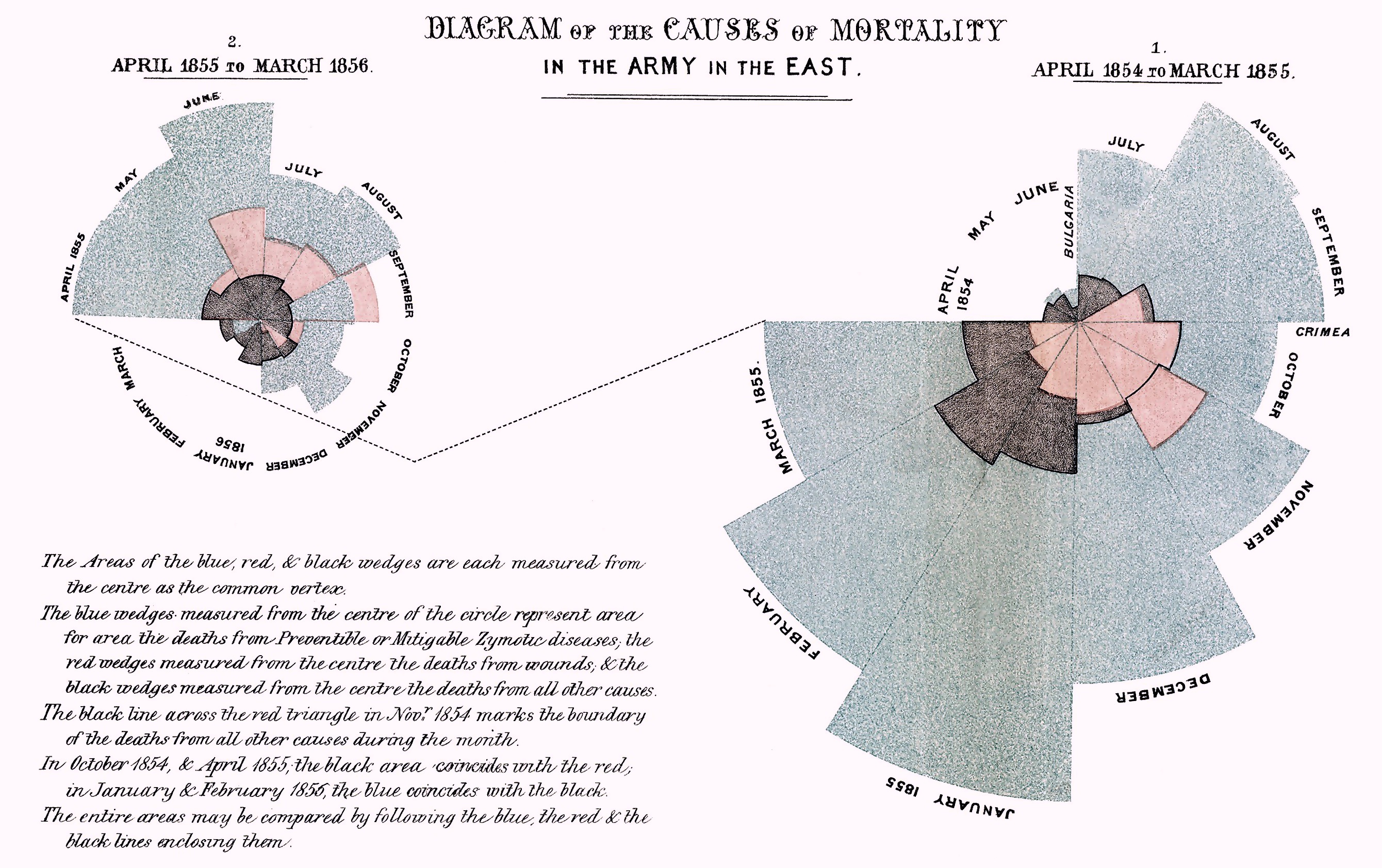 Nightingale mortality diagram: A radial diagram showing the number of deaths from preventible zymotic diseases (outer, blue wedges) compared with deaths from wounds (red) and from all other causes (gray). Right: data for April 1854 to March 1855; left: data for April 1855 to March 1865 after the arrival of the Sanitary Commission.