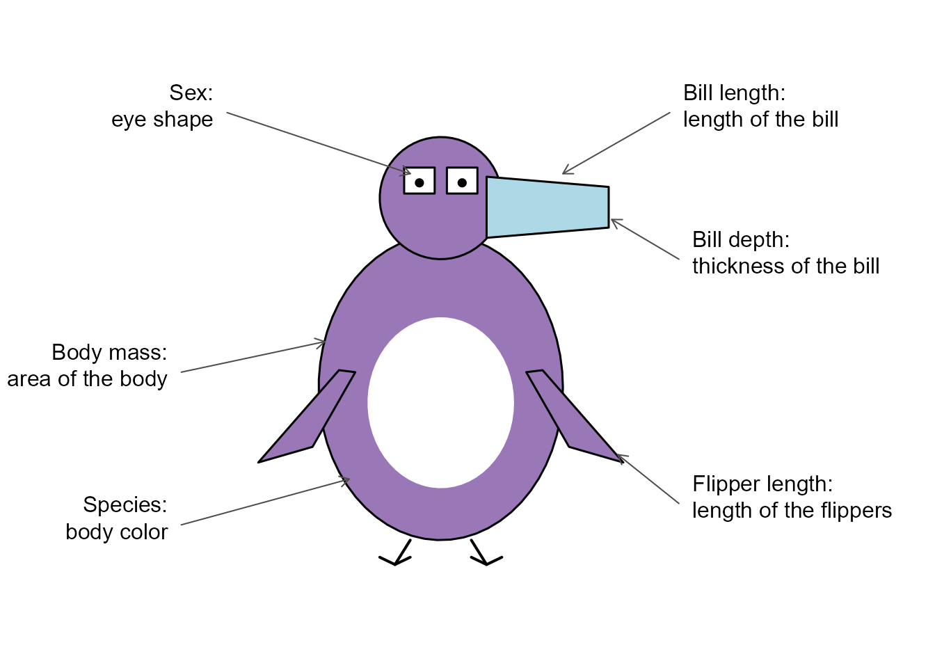 Anatomy of a penguin glyph: the visual features, and the variables they represent.